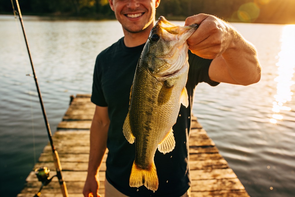 Catch of the Week — coming soon